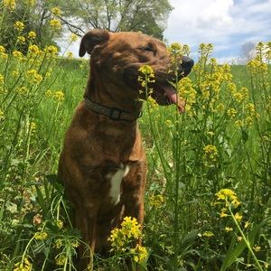 Meet your Posher, Kellie